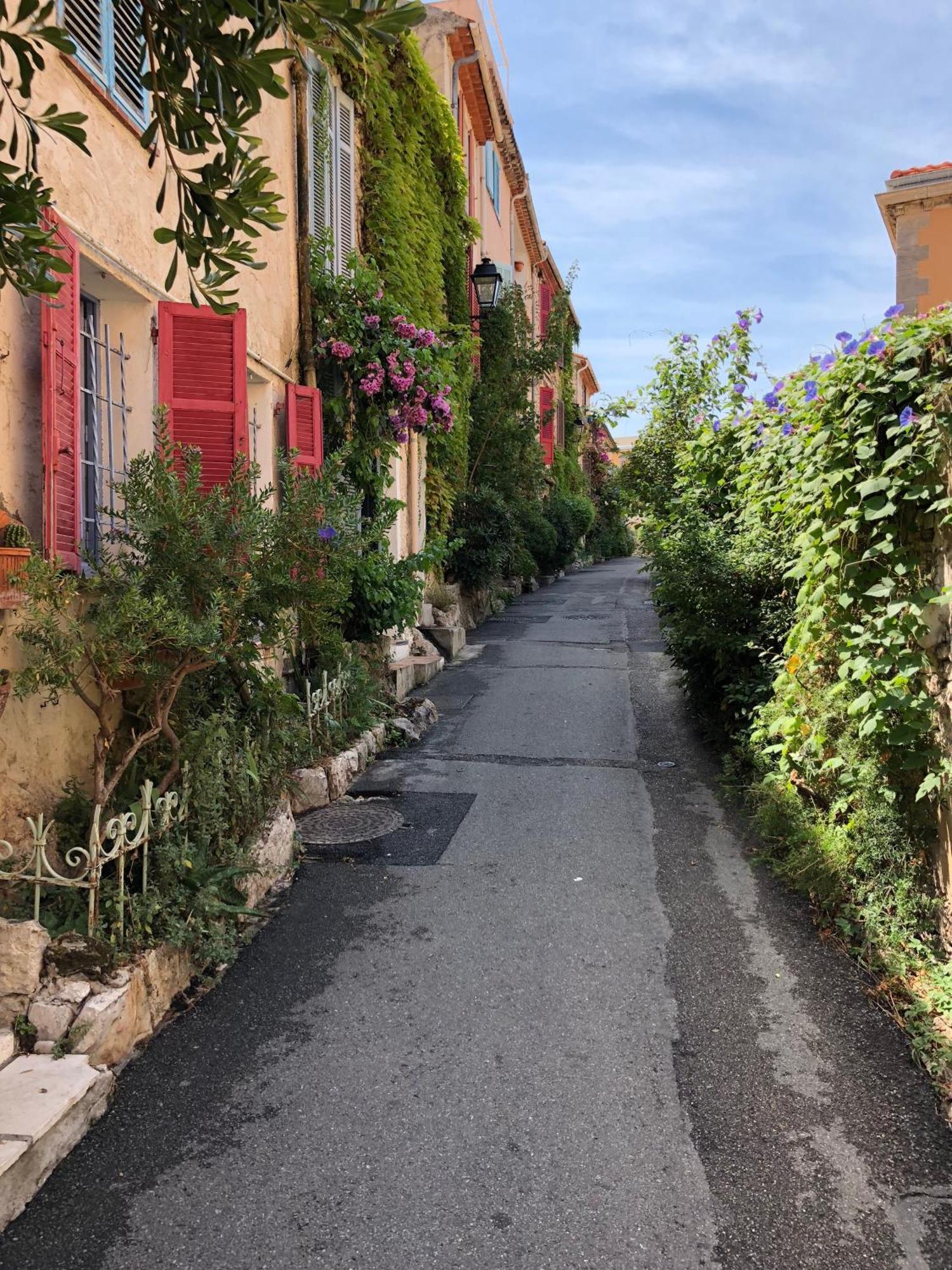 Bijou Apartment In Safranier - Old Town أنتيب المظهر الخارجي الصورة